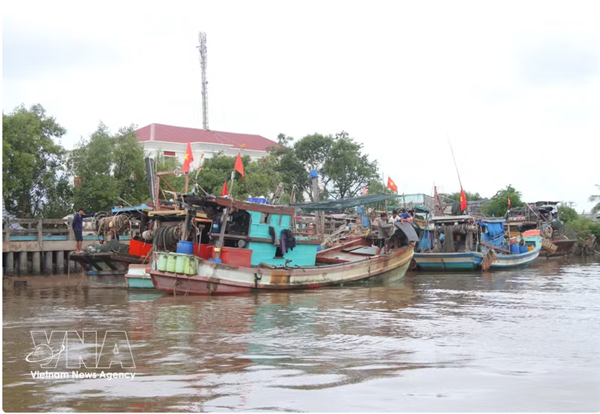 Lutte contre la pêche INN : Ca Mau durcit la surveillance des navires de pêche