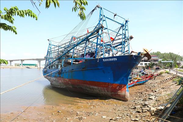 Serious Sedimentation Threatens Key Estuaries in Nghe An