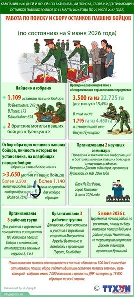 Работа по поиску и сбору останков павших бойцов (по состоянию на 9 июня 2026 года)
