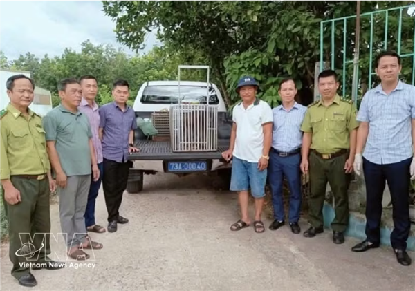 Plusieurs animaux sauvages rares recueillis au parc national de Phong Nha-Ke Bang