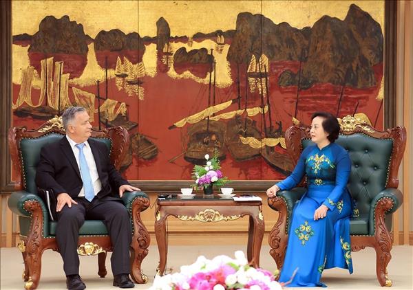 Vietnam seeks expanded US partnership in searching remains of martyrs