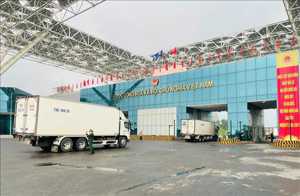 Vietnam–China crossings see spike in ASEAN fresh produce