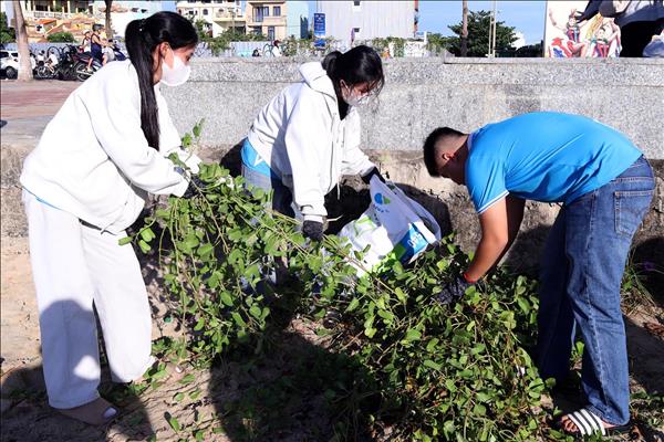 Hơn 1.300 tình nguyện viên chung tay làm sạch bán đảo Sơn Trà và bãi biển Đà Nẵng