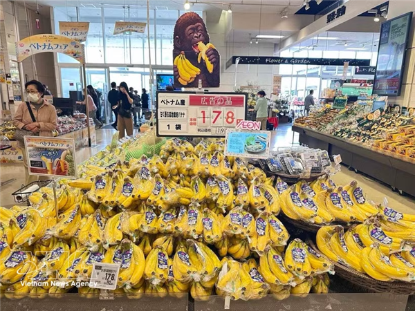 2026年越南商品周在日本及亚洲多国同步举行