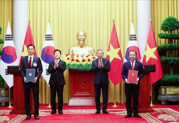 ベトナム・日本・韓国の知的財産協力　国境を越えた権利保護の実効性を強化