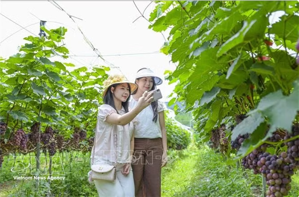 Le tourisme vert ouvre une nouvelle voie pour le Vietnam