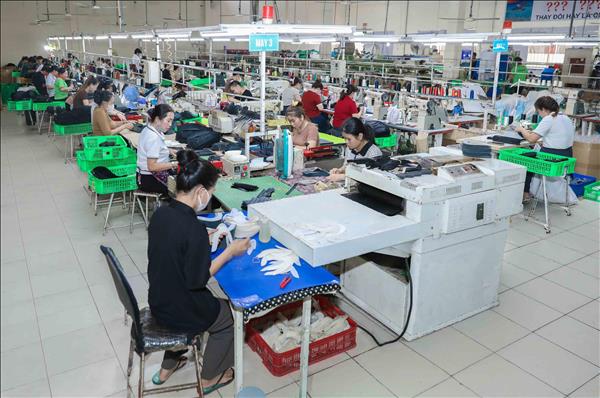 Thương hiệu Giày Việt Prowin tự tin gia nhập chuỗi cung ứng toàn cầu