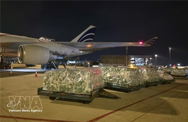Le Vietnam explore de nouvelles voies dexportation vers le Moyen-Orient et lAsie du Sud