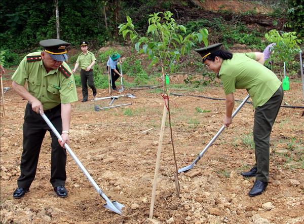 Ngày Thế giới chống sa mạc hóa và hạn hán: Phục hồi hệ sinh thái, tăng chống chịu với biến đổi khí hậu