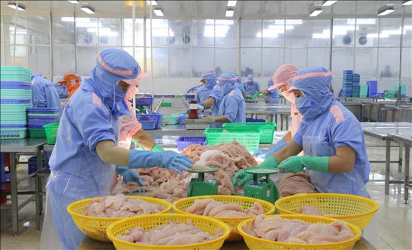 Vietnams Five-Month Trade Surges Despite Global Uncertainties