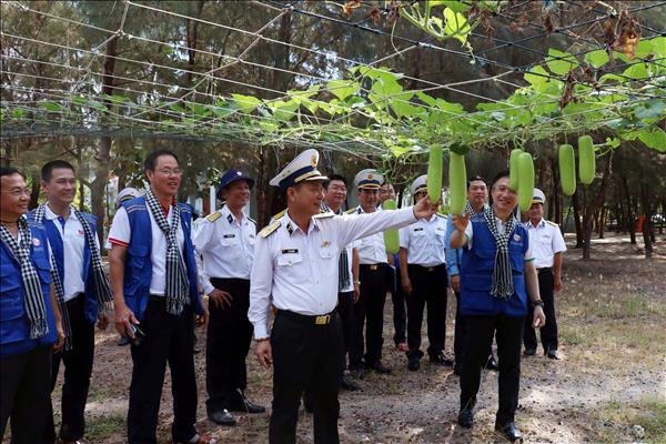 Xanh ngát vườn rau nơi đầu sóng ngọn gió