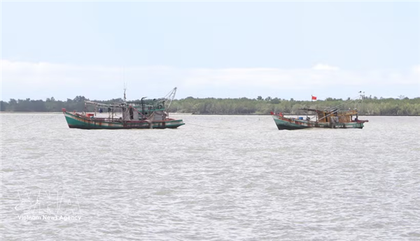 Ciudad Ho Chi Minh acelera aplicación de bitácora electrónica de captura pesquera