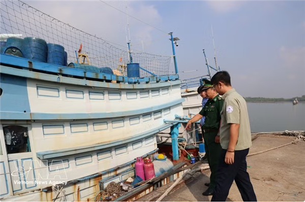 Hô Chi Minh-Ville accélère la mise en œuvre du journal de pêche électronique