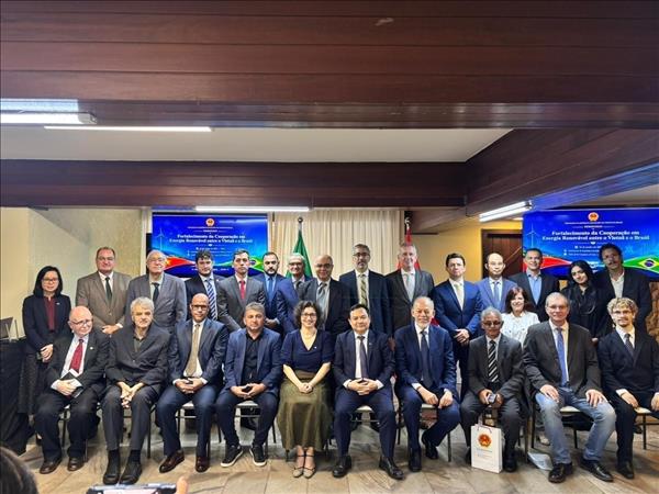 Việt Nam và Brazil tăng cường hợp tác trong lĩnh vực năng lượng tái tạo