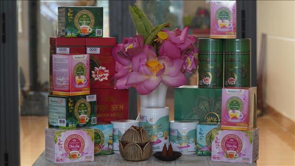 特色莲花美食成为2026年同塔莲花节一大亮点