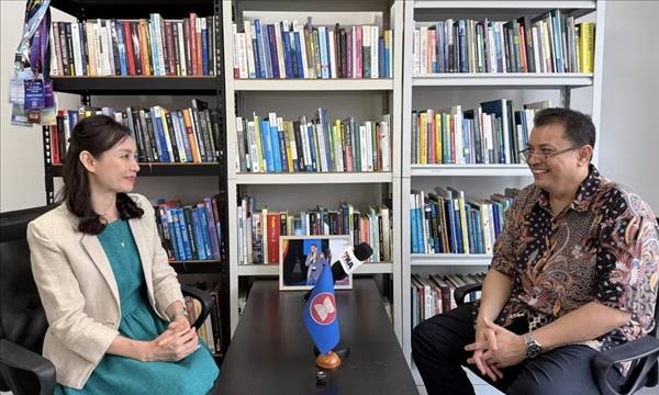 Вьетнам и Индонезия способны сыграть роль стратегических посредников в развитии связей АСЕАН и России