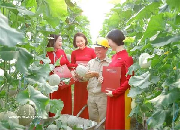Green finance gains momentum as Vietnam pursues sustainable growth