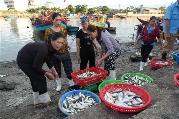 Nghệ An: Nhộn nhịp chợ bến cá Nghi Thủy