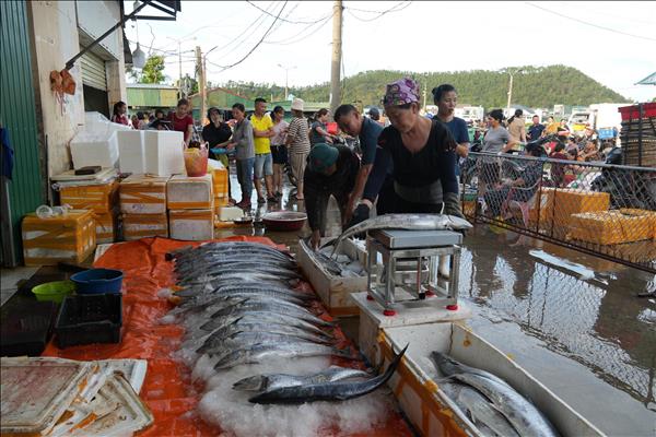 ការនាំចេញអាហារសមុទ្រកើនឡើង ១២,៨% ក្នុងឆមាសទីមួយនៃឆ្នាំ