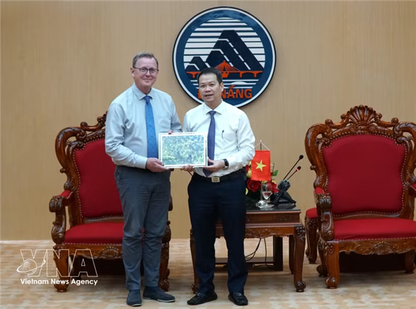 Da Nang busca ampliar vínculos con localidades y empresas alemanas
