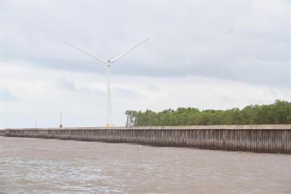 Cà Mau thu hút đầu tư, phát triển năng lượng sạch