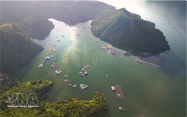 越南行政区划合并：挖掘旅游发展金矿