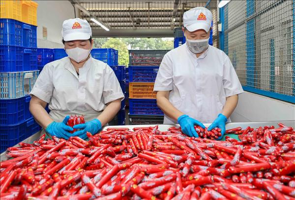 VISSAN: Hành trình xây dựng thương hiệu thực phẩm hàng đầu Việt Nam