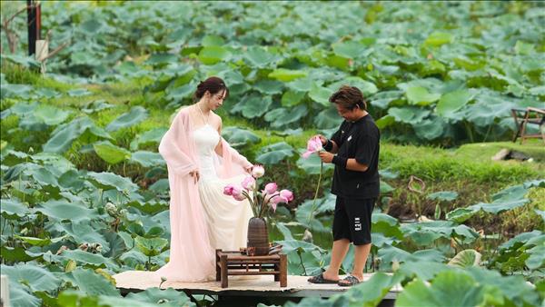 Hanoi festival to celebrate culture, creativity inspired by lotus