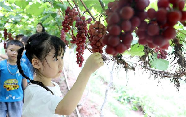 Đánh thức giá trị mới của nông nghiệp trước biến đổi khí hậu