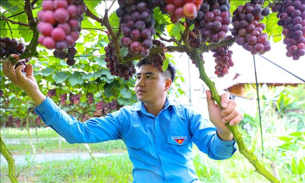 Đại hội Đoàn toàn quốc lần thứ XIII: Lên vùng cao xem thanh niên làm giàu