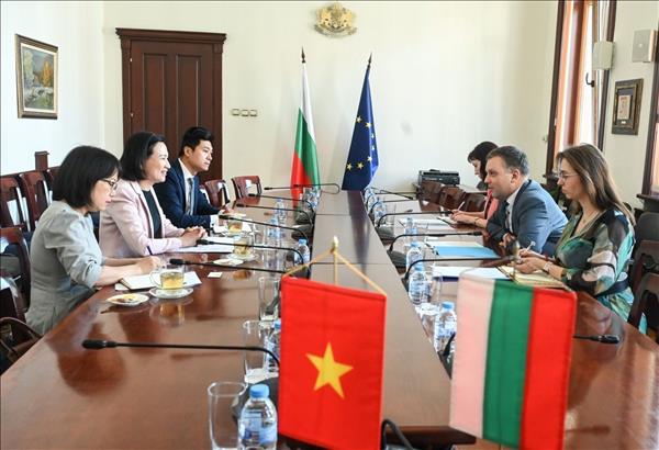 Thúc đẩy hợp tác pháp luật và tư pháp giữa Việt Nam và Bulgaria trong giai đoạn mới