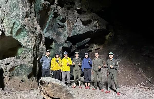 Grotte géante avec stalactites colorées à Quang Tri : la région na pas fini de surprendre