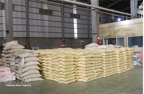 Le Vietnam exporte 5 millions de tonnes de riz au premier semestre