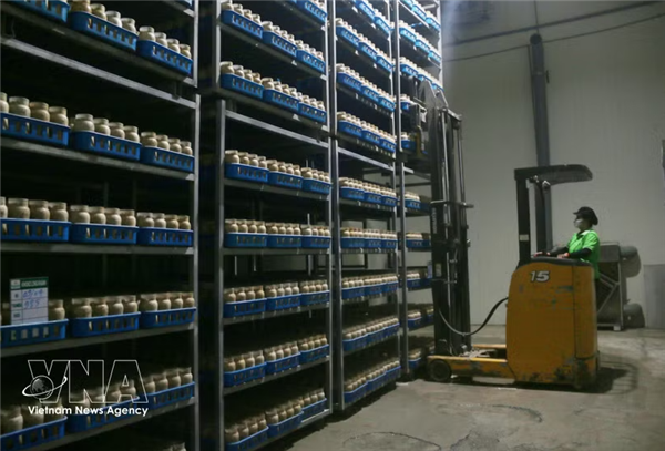 Selon un expert, linnovation exige des mécanismes plus flexibles