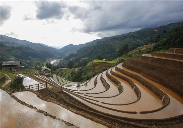 The Sparkling Beauty of Mu Cang Chais Terraced Fields