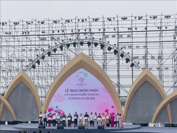 Lễ hội Sen Hà Nội 2026 thu hút khoảng 300.000 lượt khách tham quan, trải nghiệm