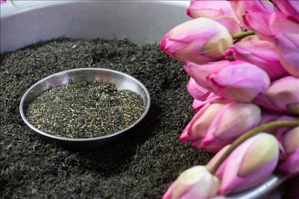 Trà sen Tây Hồ - hương vị di sản giữa lòng Hà Nội