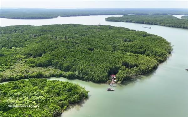 Vietnam launches pilot carbon market, opening new opportunities for green growth