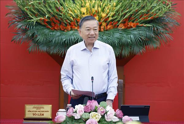 Foreign affairs should better serve national development: Top leader