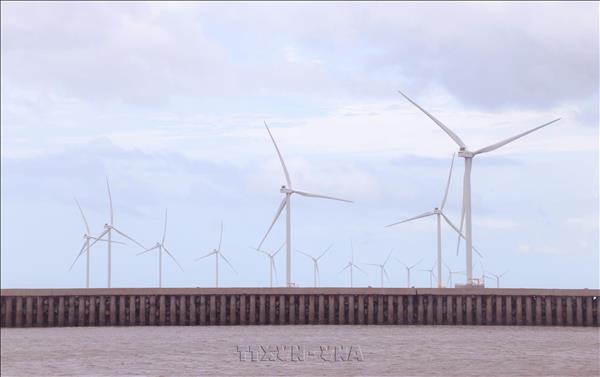 Cà Mau lance la construction dun projet éolien de plus de 6 300 milliards de dongs
