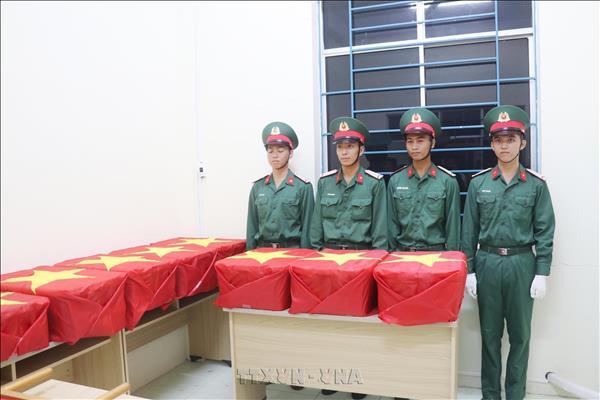 Can Tho airlifts 670 DNA samples of unidentified war martyrs to Hanoi for testing