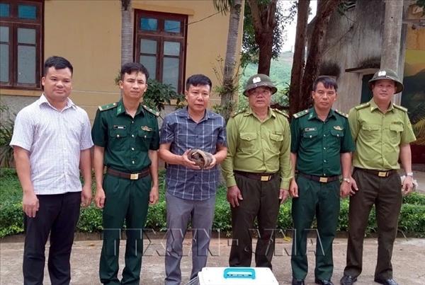 Phong Nha–Ke Bang National Park receives more endangered Sunda pangolins