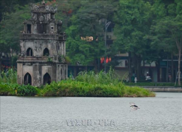 Govt Action Program Aims to Develop Hanoi into Sci-tech Hub