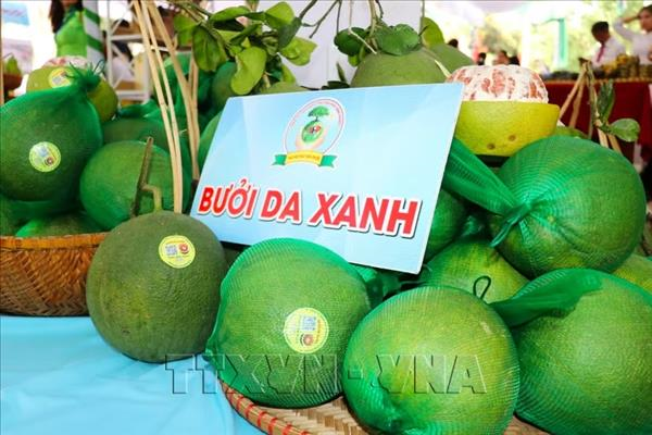 Les exportations agro-sylvicoles et halieutiques accélèrent au second semestre