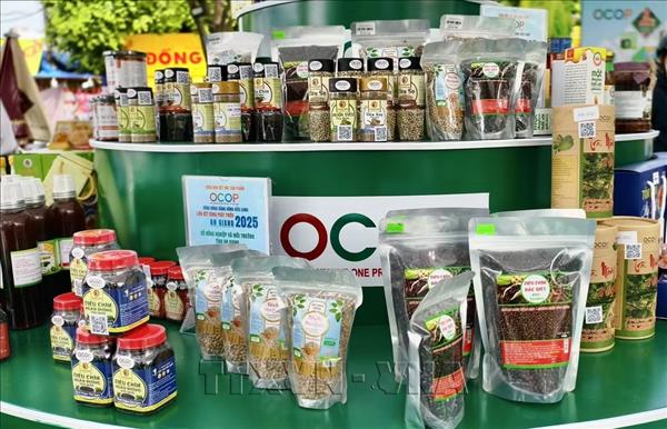 Заложить основу для ускорения экспорта сельскохозяйственной и лесной продукции