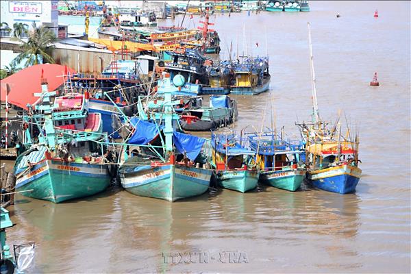 Ca Mau promotes sustainable fisheries to end IUU fishing