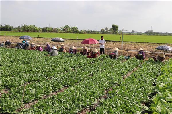 Hơn 51.000 lượt hộ nghèo được vay vốn tín dụng chính sách