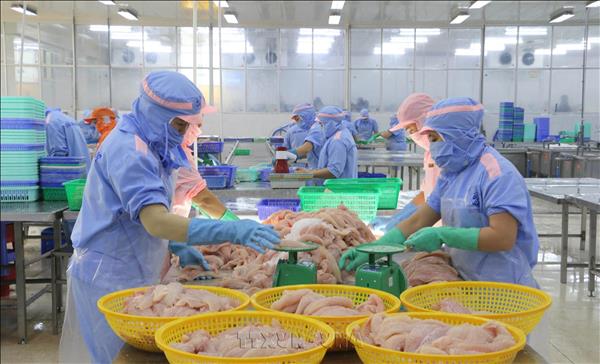 Vietnam seeks stronger domestic manufacturing to sustain export growth