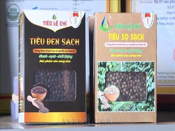 Les exportations vietnamiennes de poivre maintiennent une croissance à deux chiffres au premier semestre