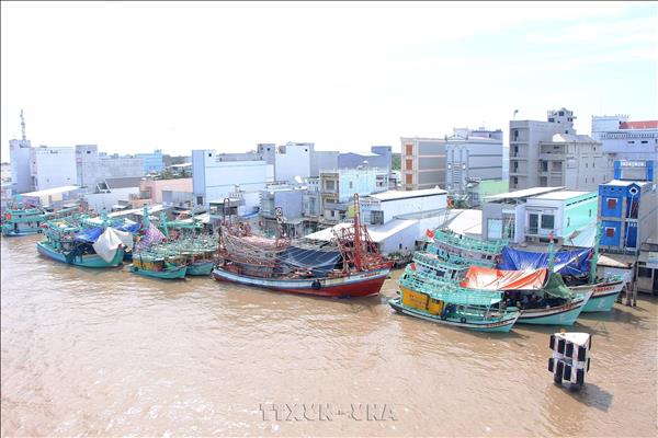 Dong Thap tightens fisheries management to combat IUU fishing